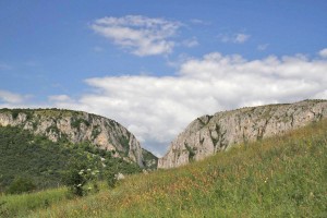 IMG_5188